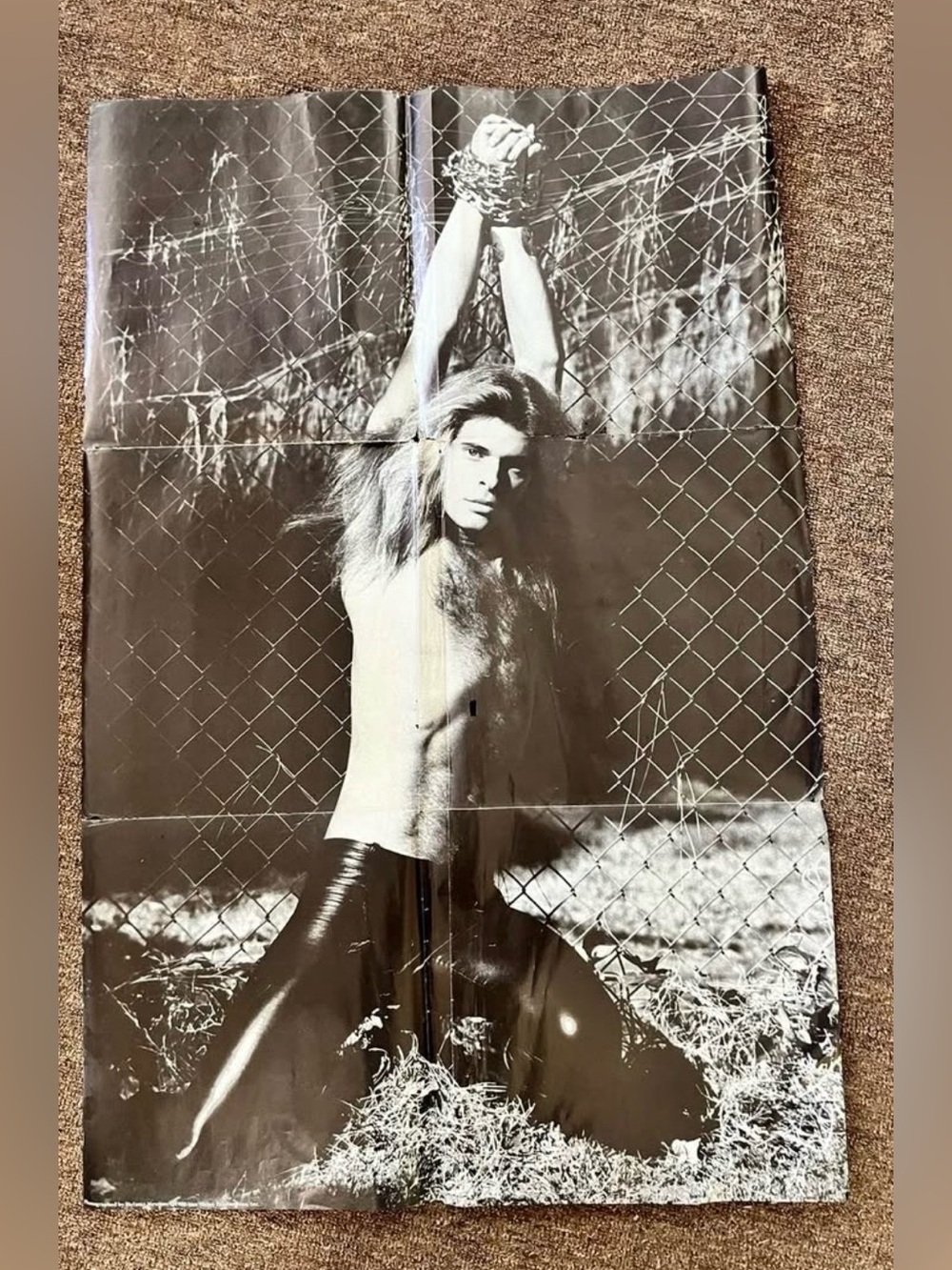 Vintage David Lee Roth Van Halen Poster Flaw
